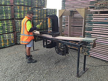 plank hire testing